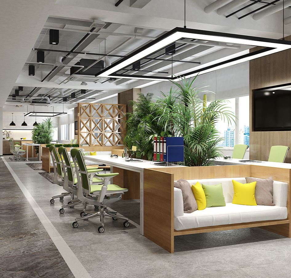 Tenant Buildouts